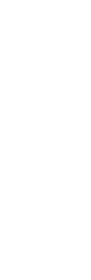 ski